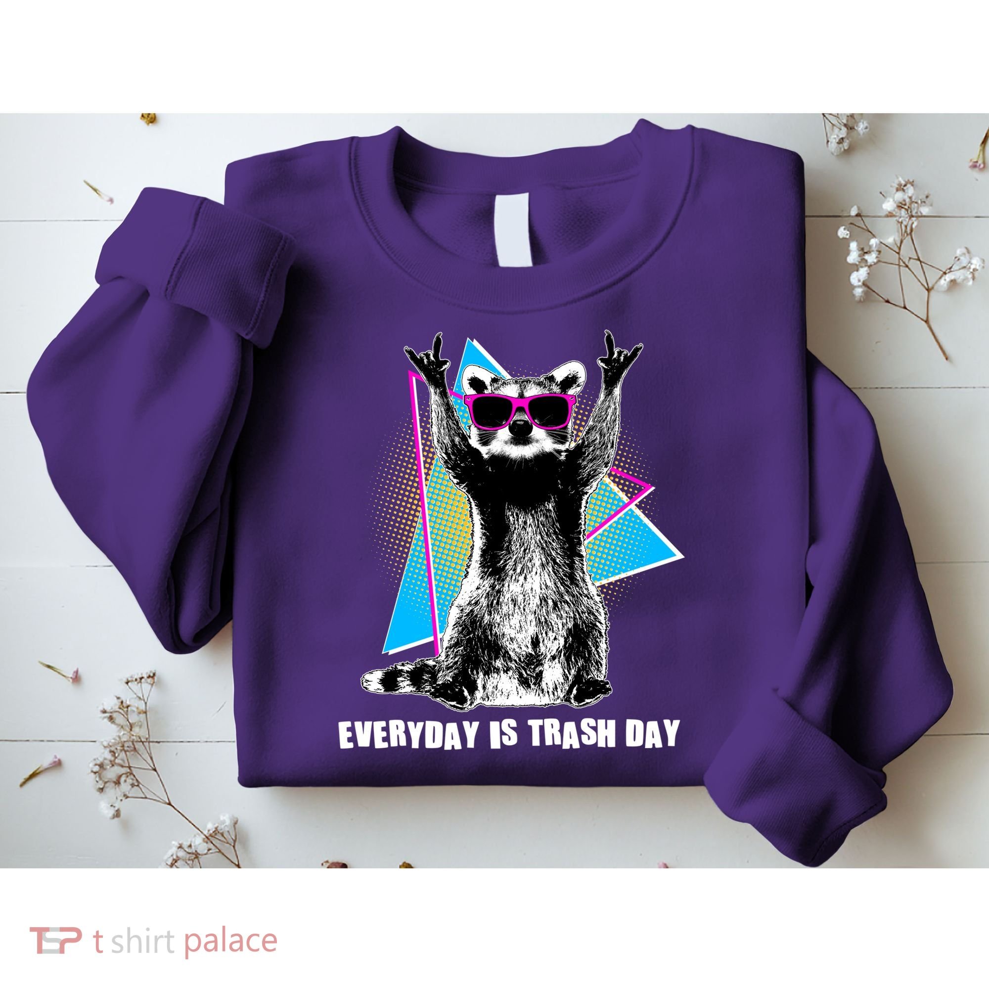 Funny Retro Everyday Is Trash Day Raccoon Sweatshirt