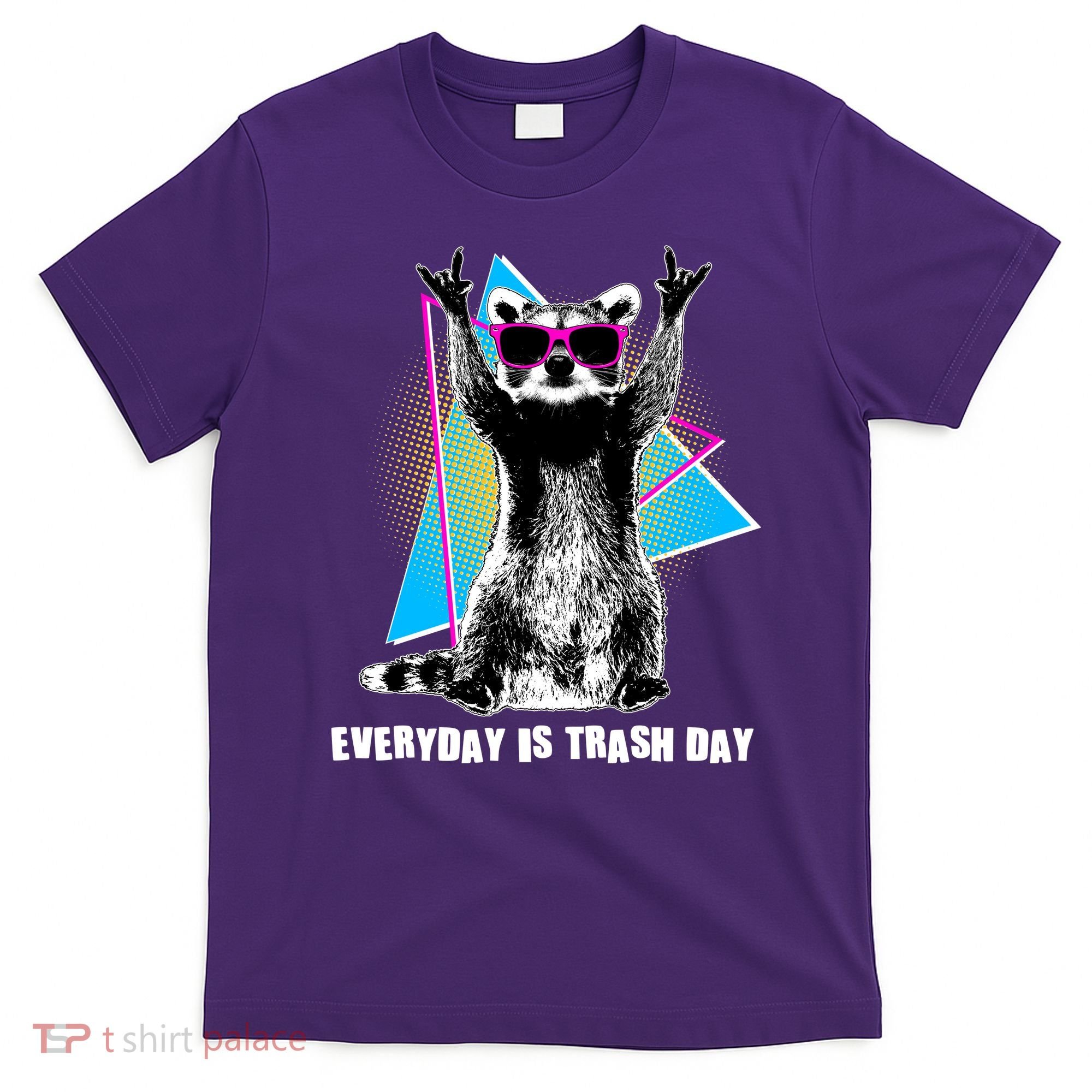 Funny Retro Everyday Is Trash Day Raccoon T-Shirt
