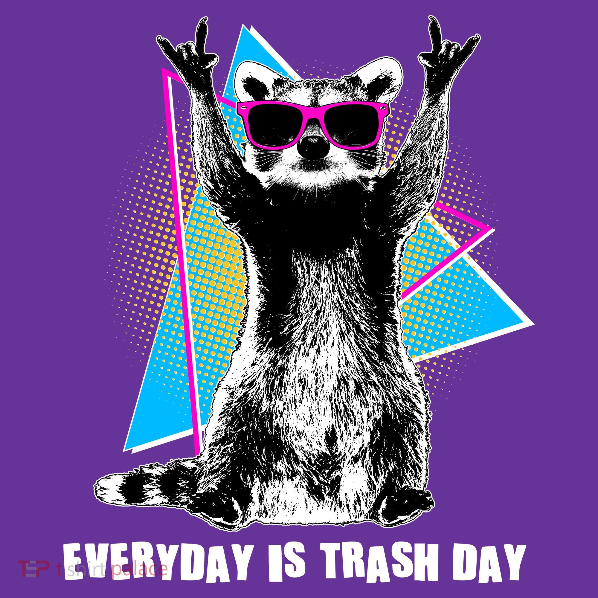 Funny Retro Everyday Is Trash Day Raccoon Hat