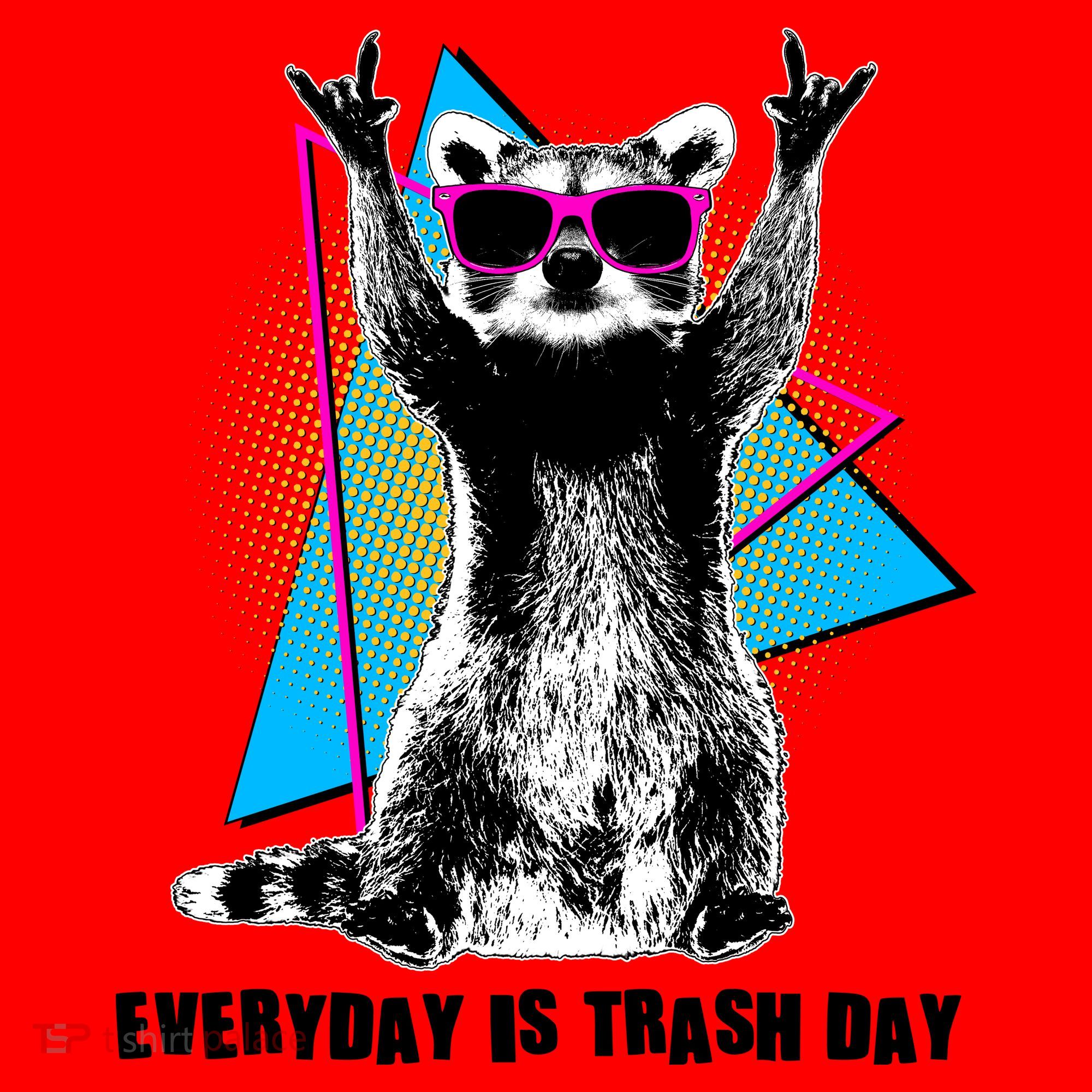 Funny Retro Everyday Is Trash Day Raccoon Santa Hat