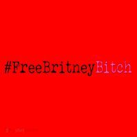Free Britney B*tch Meme Santa Hat thumb 1