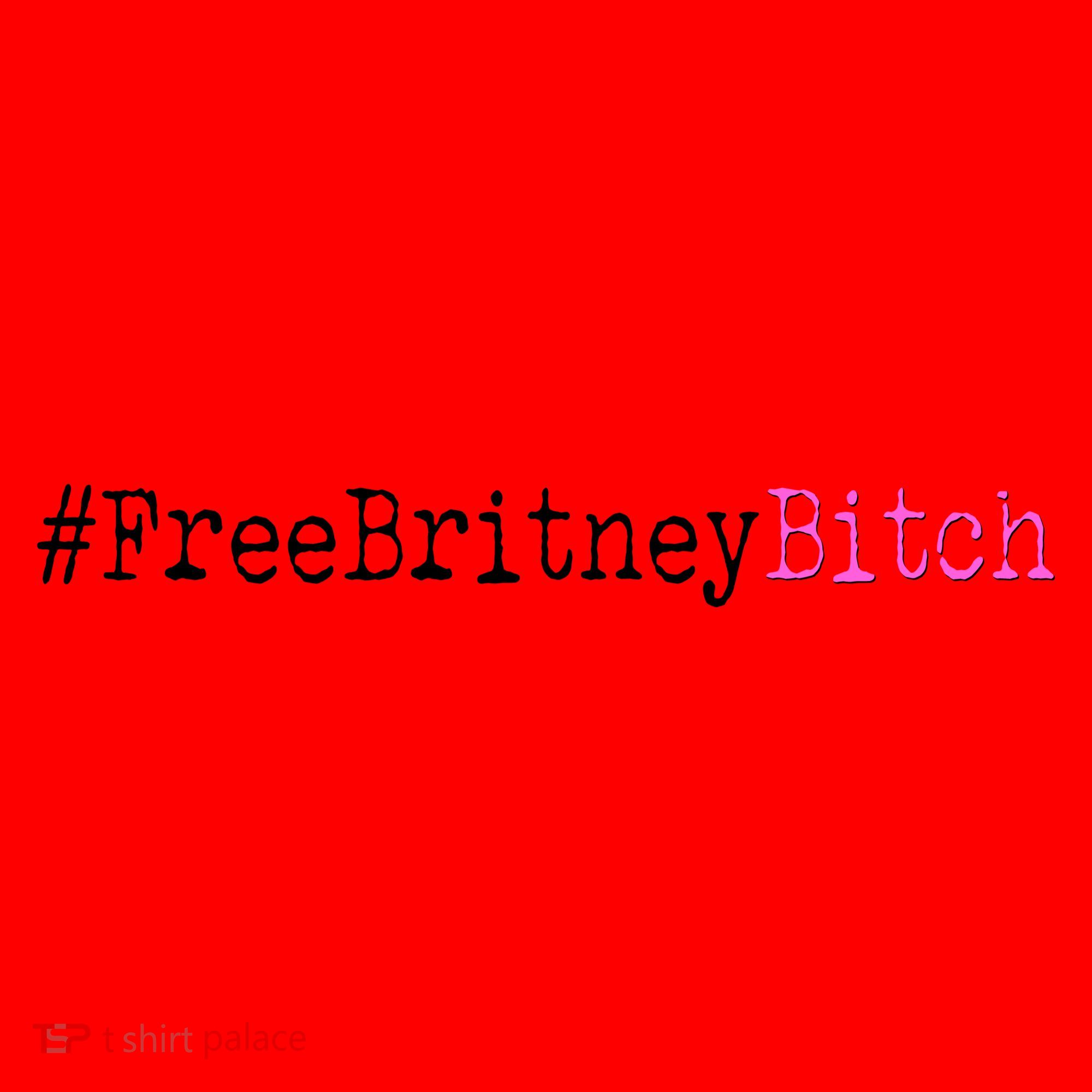 Free Britney B*tch Meme Santa Hat