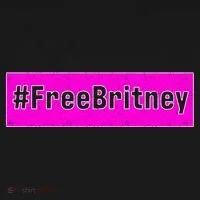 Free Britney Hashtag FreeBritney Bucket Hat thumb 4