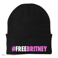 Free Britney Meme Fight For Britney Beanie thumb 0