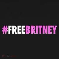 Free Britney Meme Fight For Britney Toddler Hoodie thumb 2