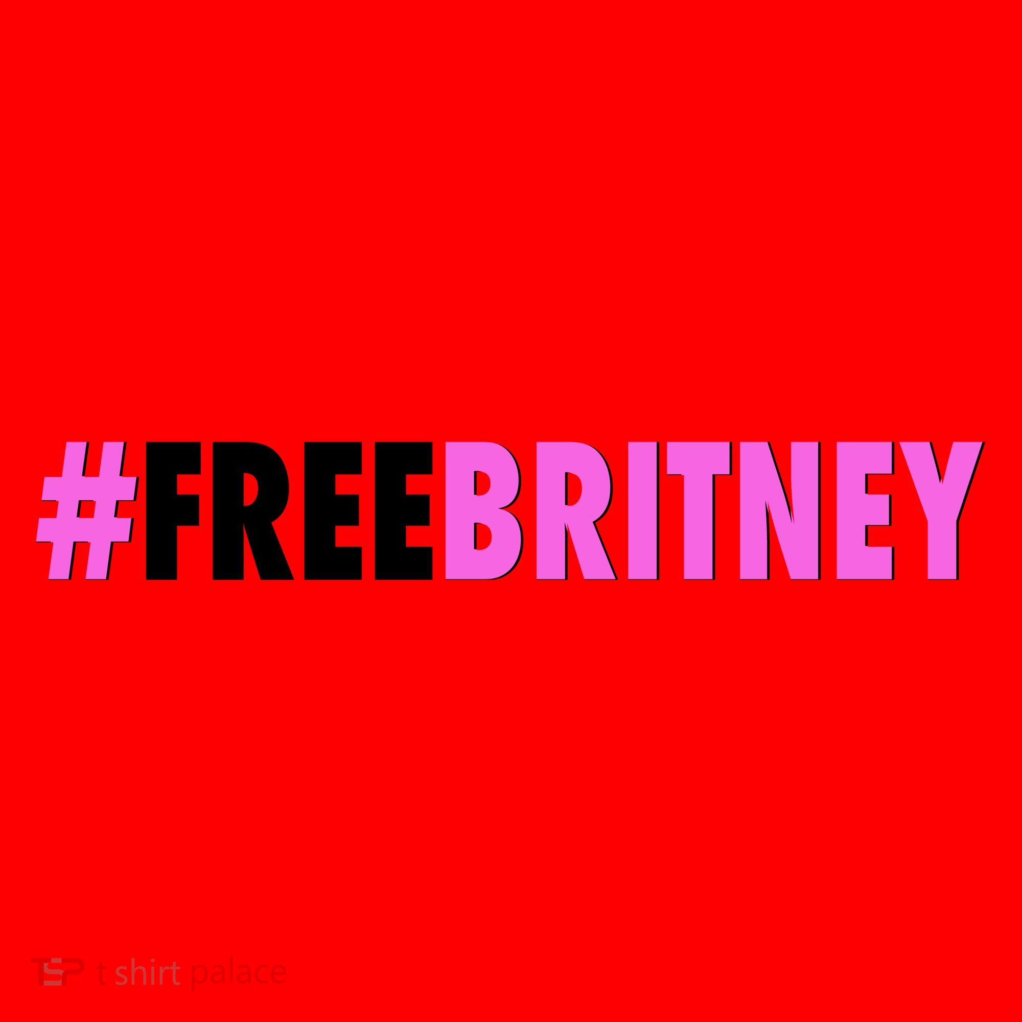 Free Britney Meme Fight For Britney Santa Hat