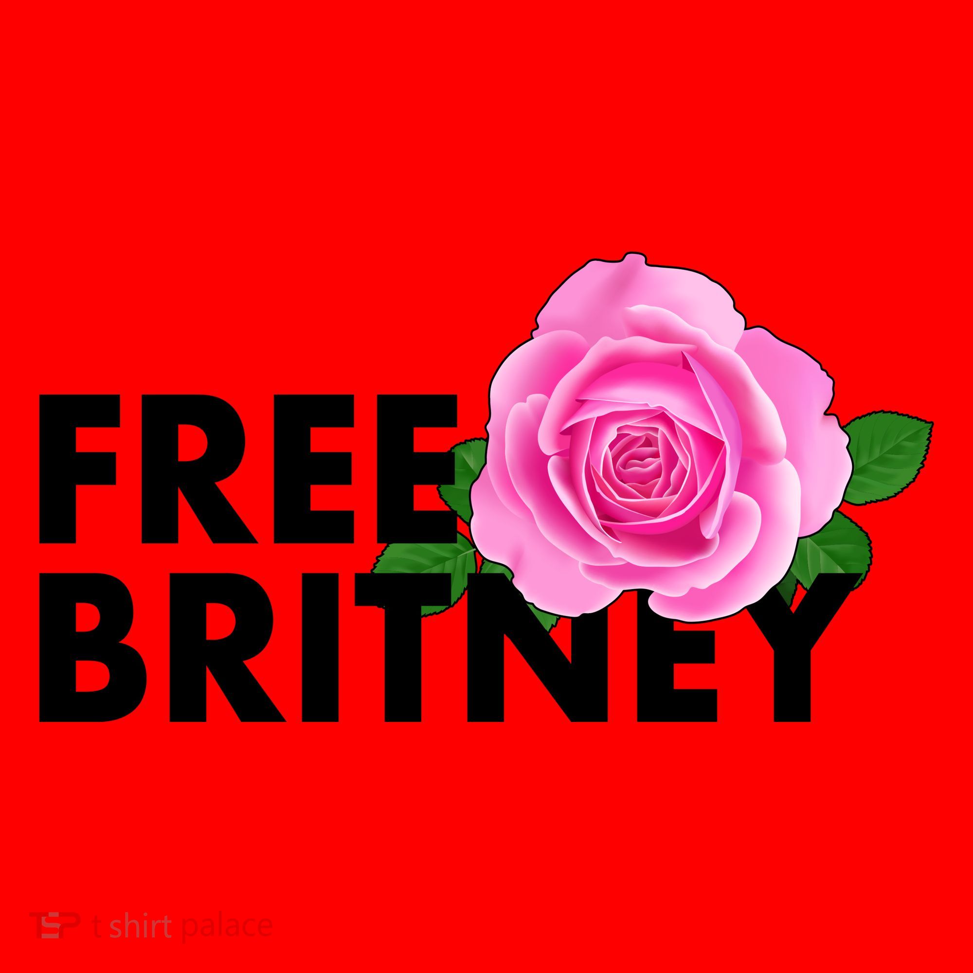 Free Britney Pink Rose Flower Santa Hat