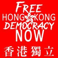 Free Hong Kong Democracy Now HK Independence Flag Ornament thumb 1