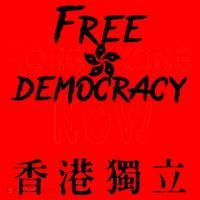 Free Hong Kong Democracy Now HK Independence Flag Santa Hat thumb 1