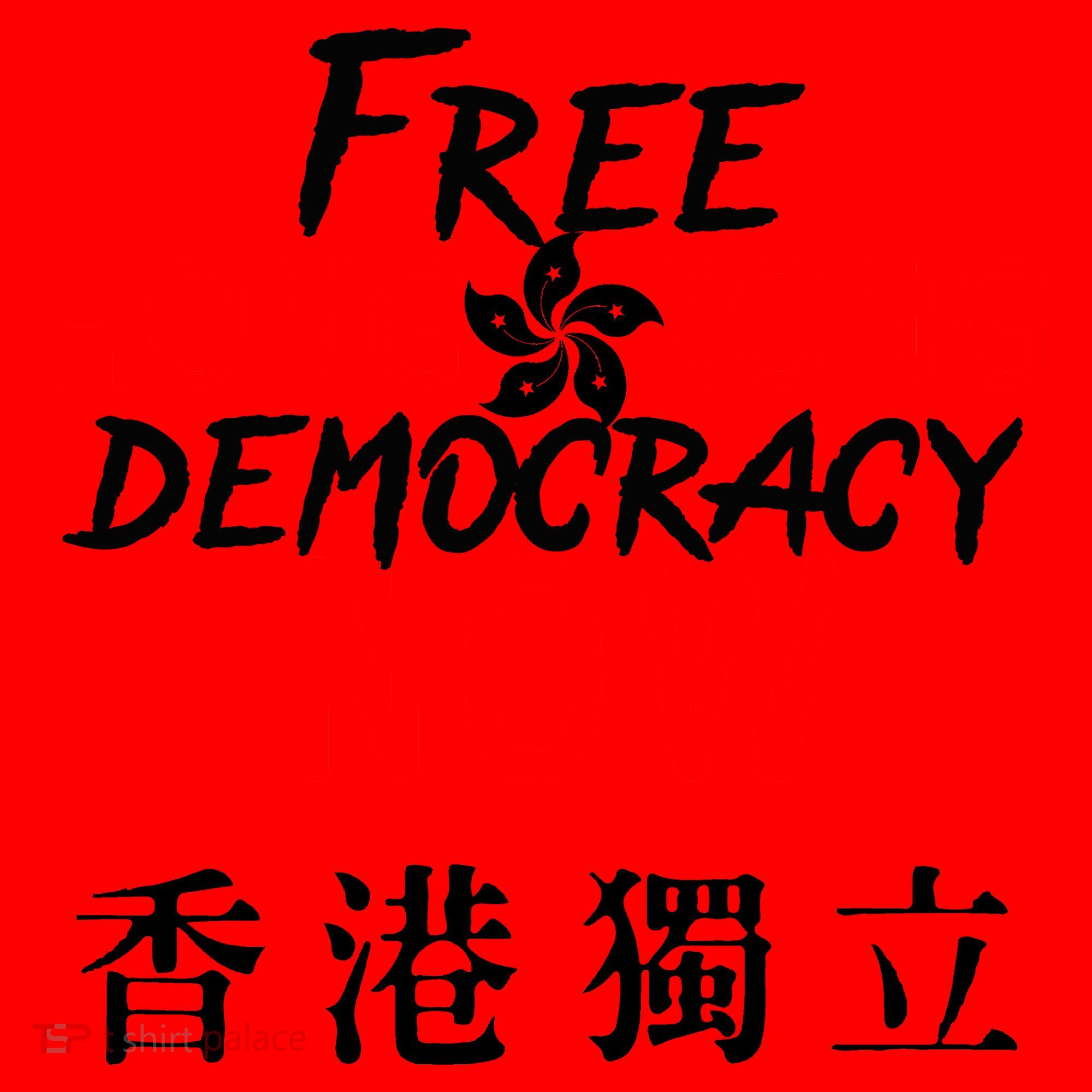 Free Hong Kong Democracy Now HK Independence Flag Santa Hat