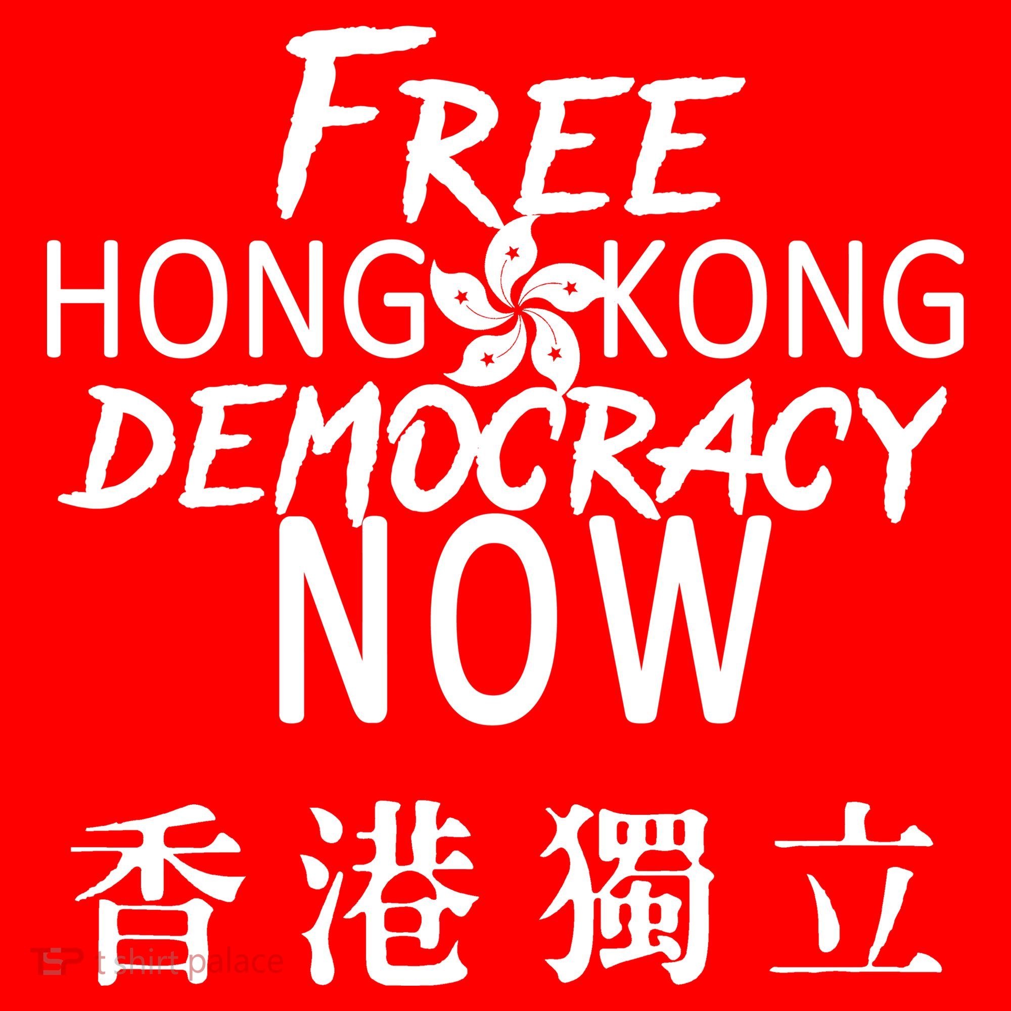 Free Hong Kong Democracy Now HK Independence Flag Hat