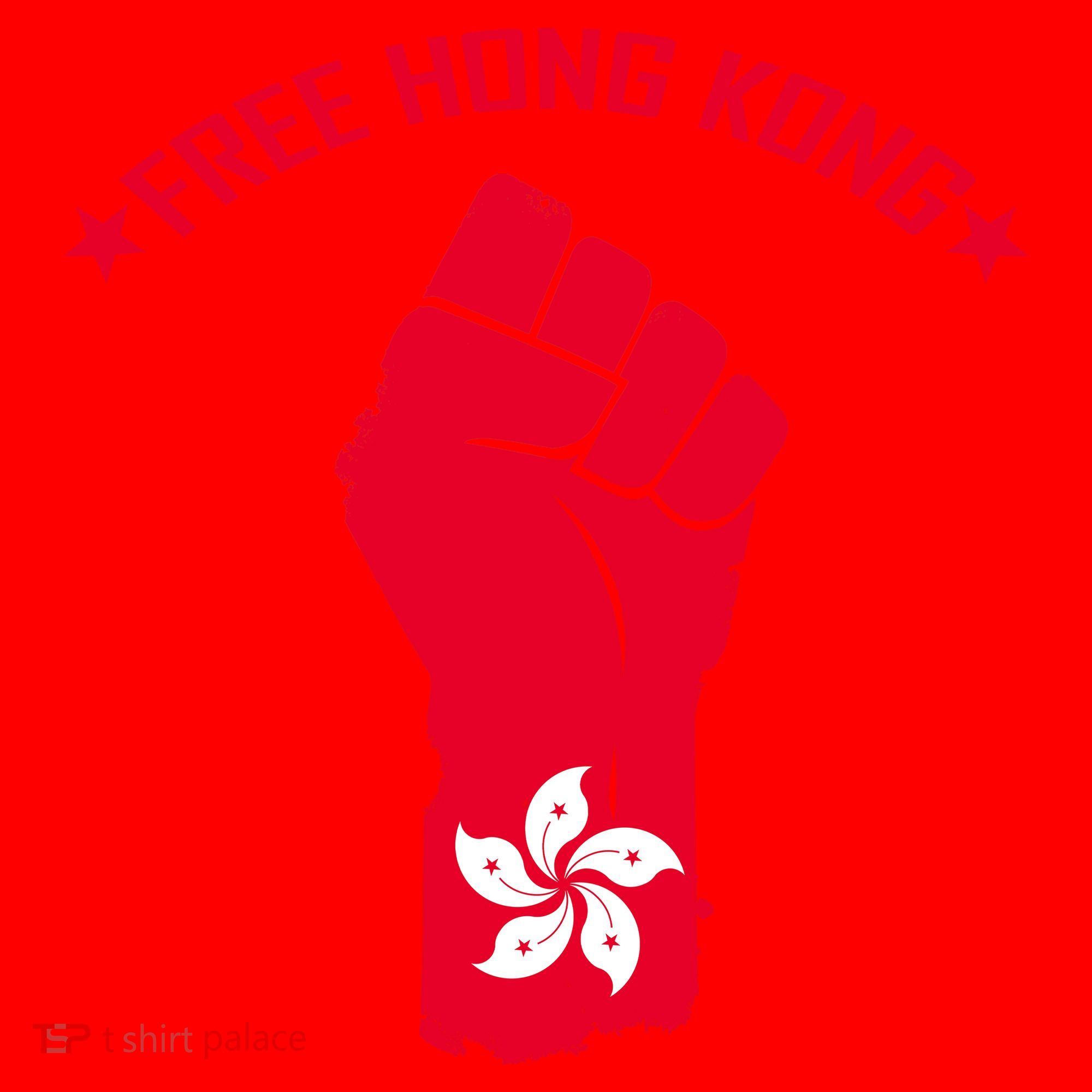 Free Hong Kong Fist Santa Hat