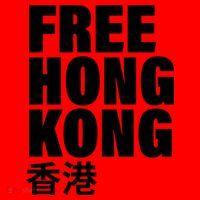 Free Hong Kong For Democracy Now Santa Hat thumb 1