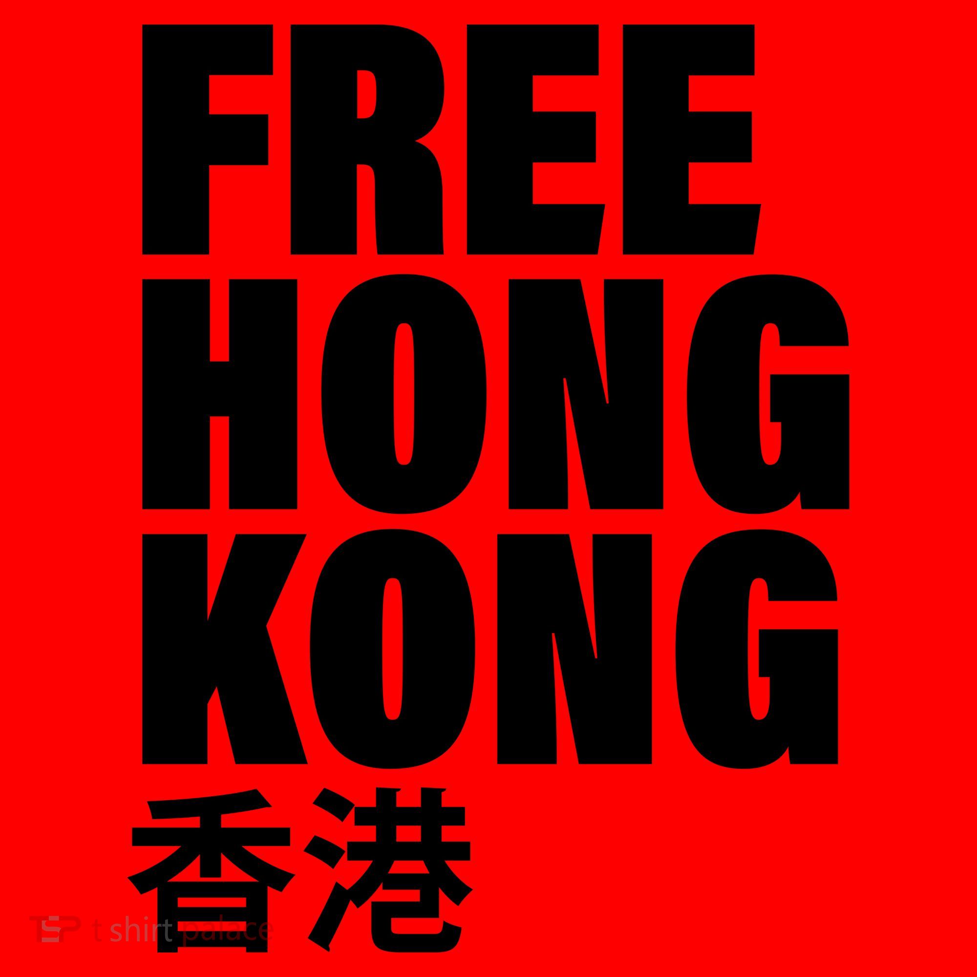 Free Hong Kong For Democracy Now Santa Hat