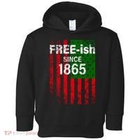 Free-ish Since 1865 Juneteenth Day Flag Black Pride Toddler Hoodie thumb 0