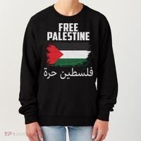 Free Palestine Arabic Distressed Painted Flag Women's Sweatshirt thumb 0