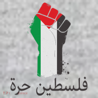 Free Palestine Arabic Protest Fist Flag Colors T-Shirt thumb 7