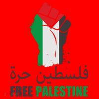 Free Palestine Arabic Support Palestine Gaza Jerusalem Santa Hat thumb 1
