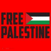 Free Palestine Flag Santa Hat thumb 1