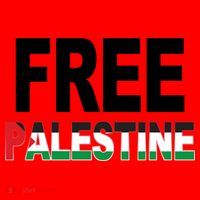 Free Palestine Flag Palestine Santa Hat thumb 1