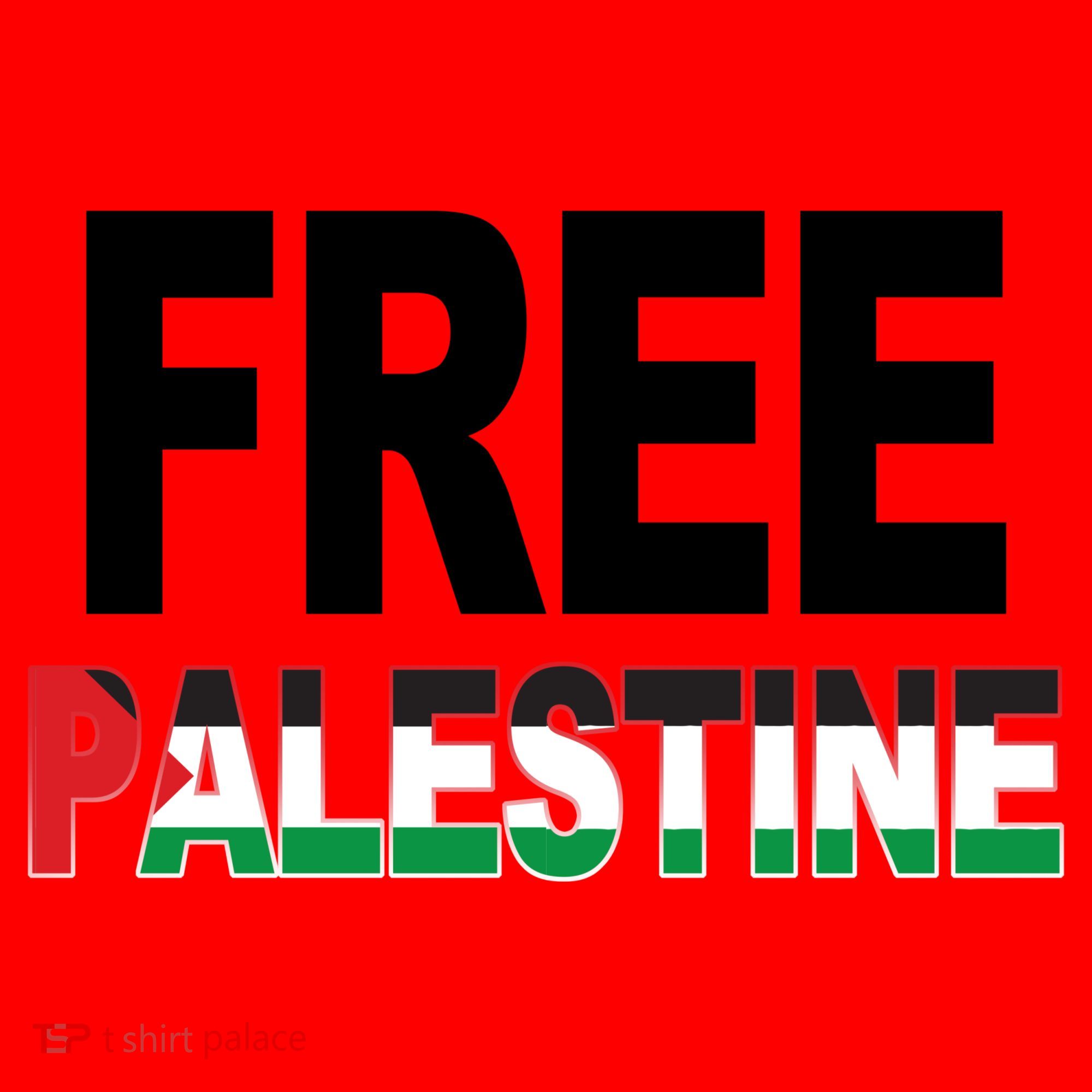 Free Palestine Flag Palestine Santa Hat