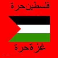 Free Palestine Gaza Arabic Writing Flag Santa Hat thumb 1