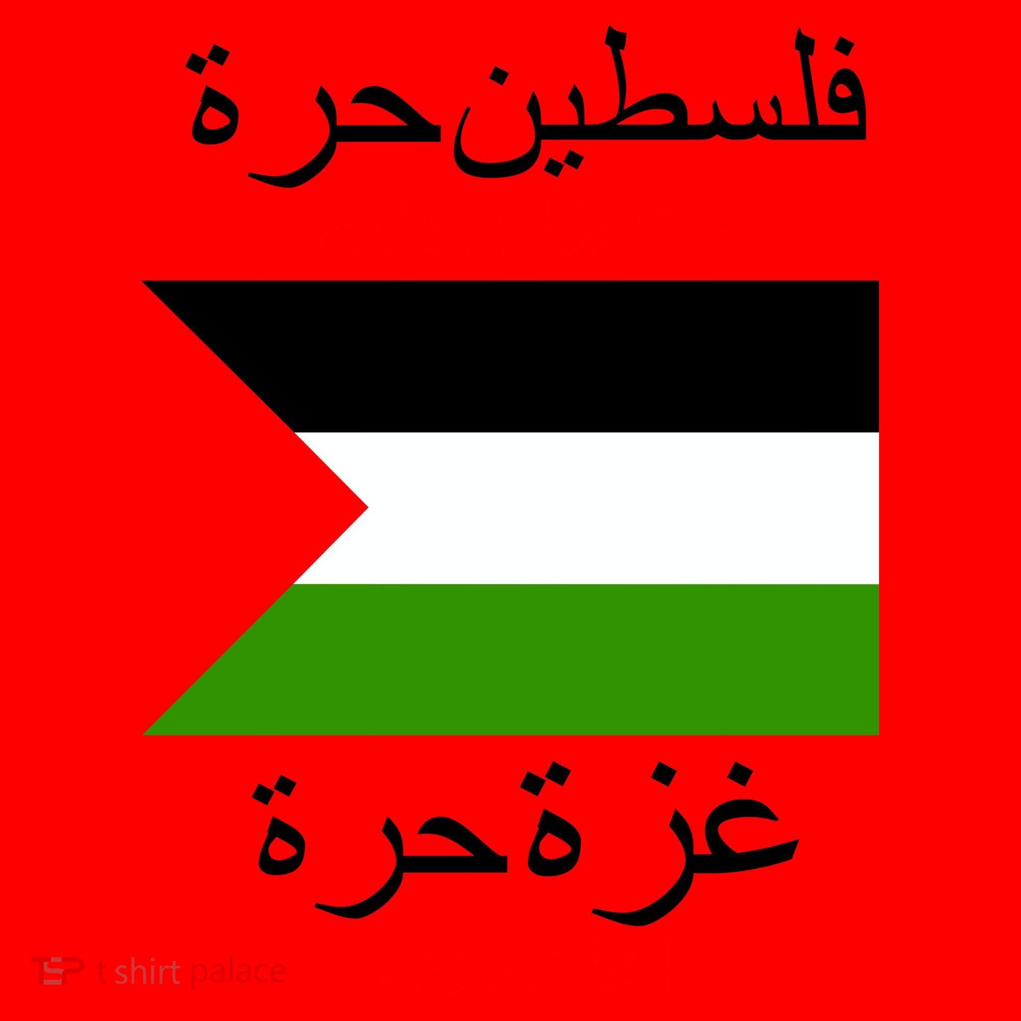 Free Palestine Gaza Arabic Writing Flag Santa Hat