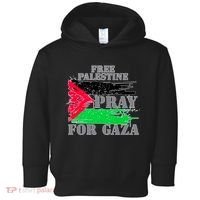 Free Palestine Pray For Gaza Palestinian Flag Toddler Hoodie thumb 0