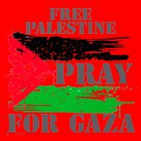 Free Palestine Pray For Gaza Palestinian Flag Santa Hat thumb 1