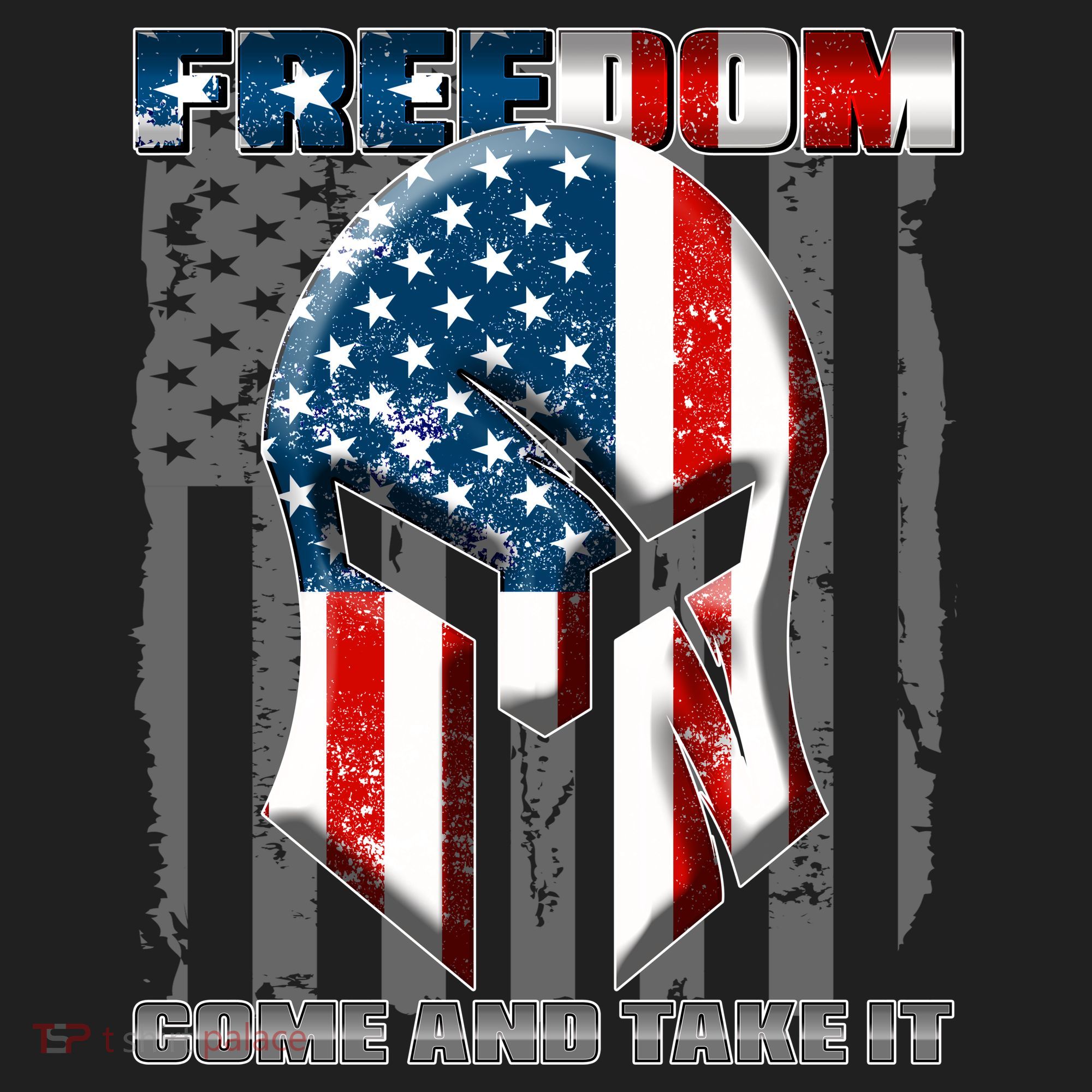 Freedom Come And Take It Gladiator US Flag Hat
