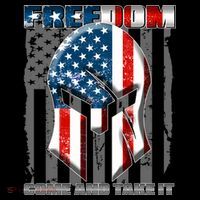 Freedom Come And Take It Gladiator US Flag Kids Sweatshirt thumb 2