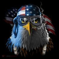 Freedom Fighter Bald American Eagle Sweatshirt thumb 3