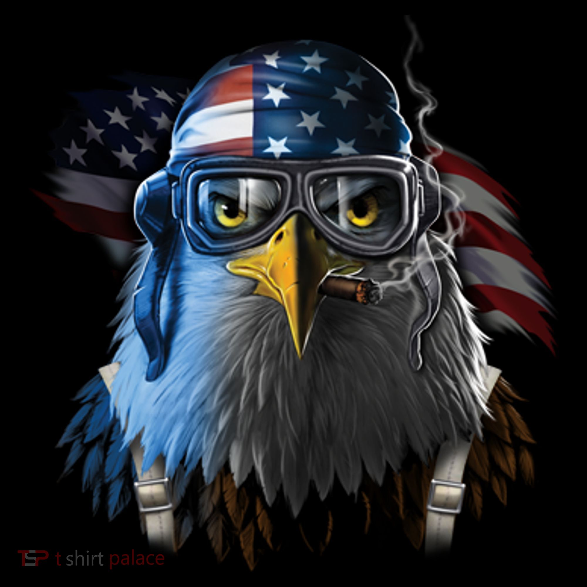 Freedom Fighter Bald American Eagle Women's Hoodie