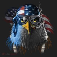Freedom Fighter Bald American Eagle Tumbler thumb 3