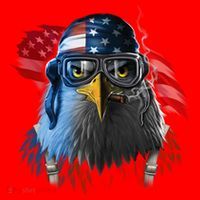 Freedom Fighter Bald American Eagle Santa Hat thumb 1