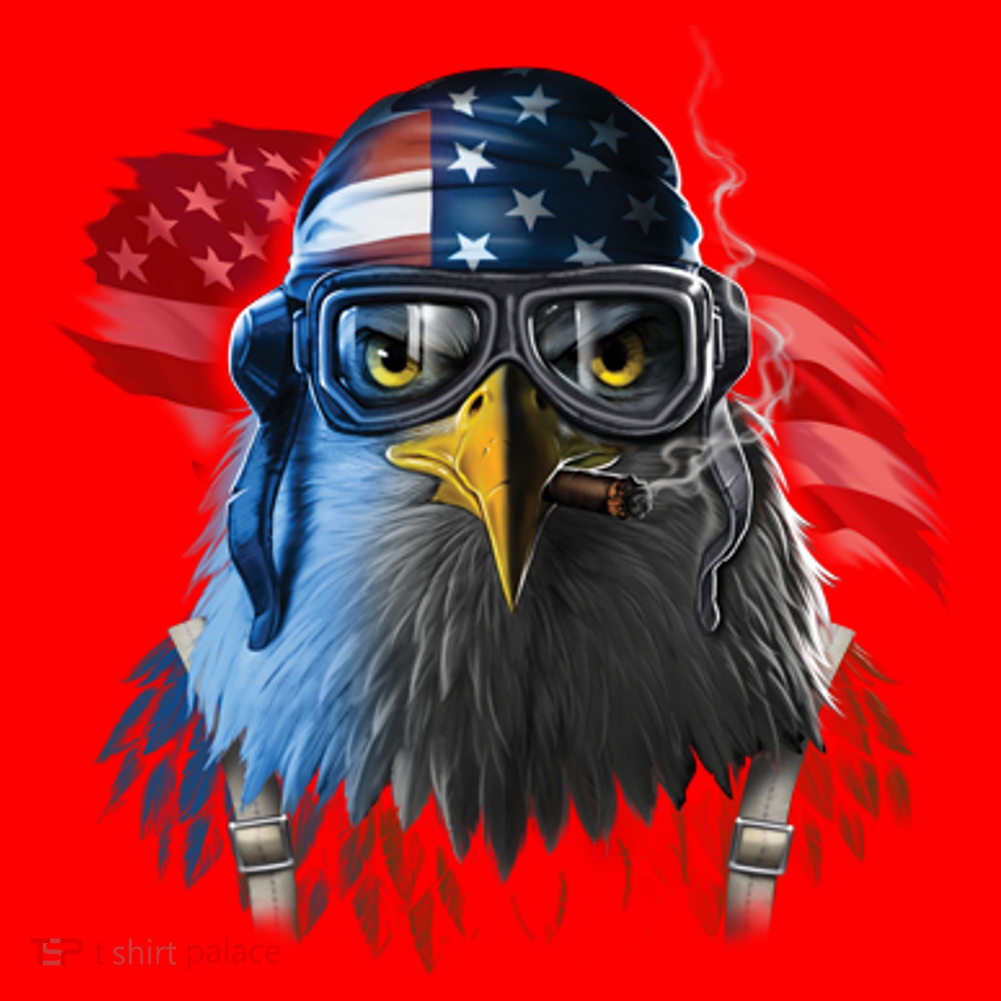Freedom Fighter Bald American Eagle Santa Hat