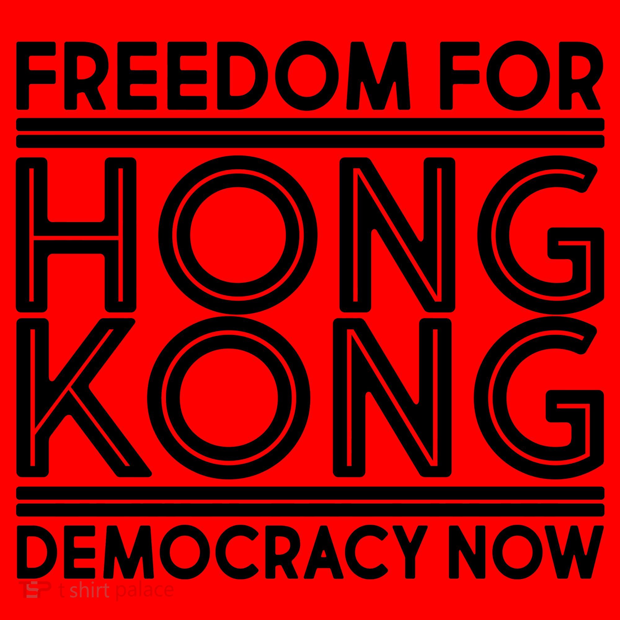 Freedom For Hong Kong Democracy Now Santa Hat