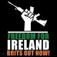 Freedom For Ireland Brits Out Now Toddler Hoodie thumb 2