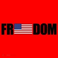 Freedom Simple Logo Santa Hat thumb 1