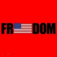 Freedom Simple Logo Santa Hat thumb 1