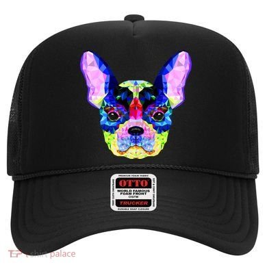 French Bulldog Geometric Hat
