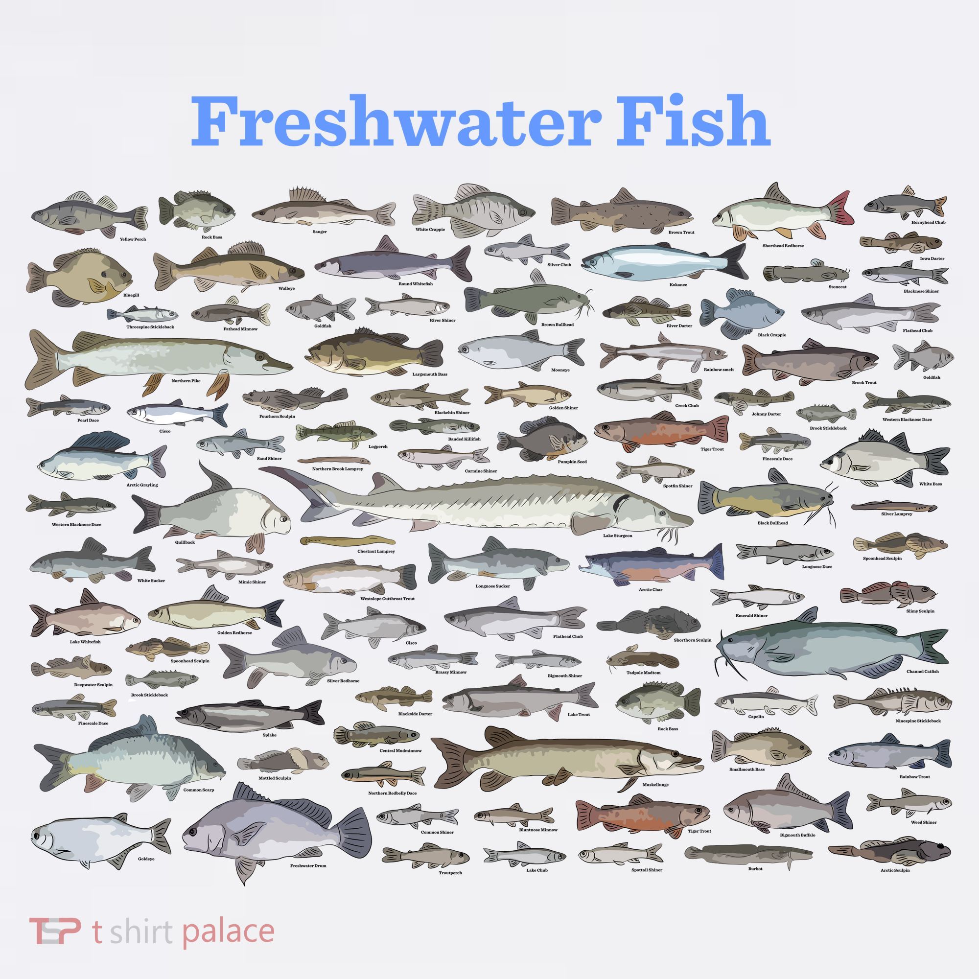 Freshwater Fish - 100 Different Types T-Shirt