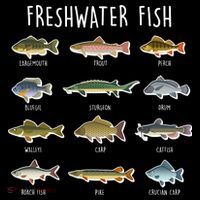 Freshwater Fish Backpack thumb 2