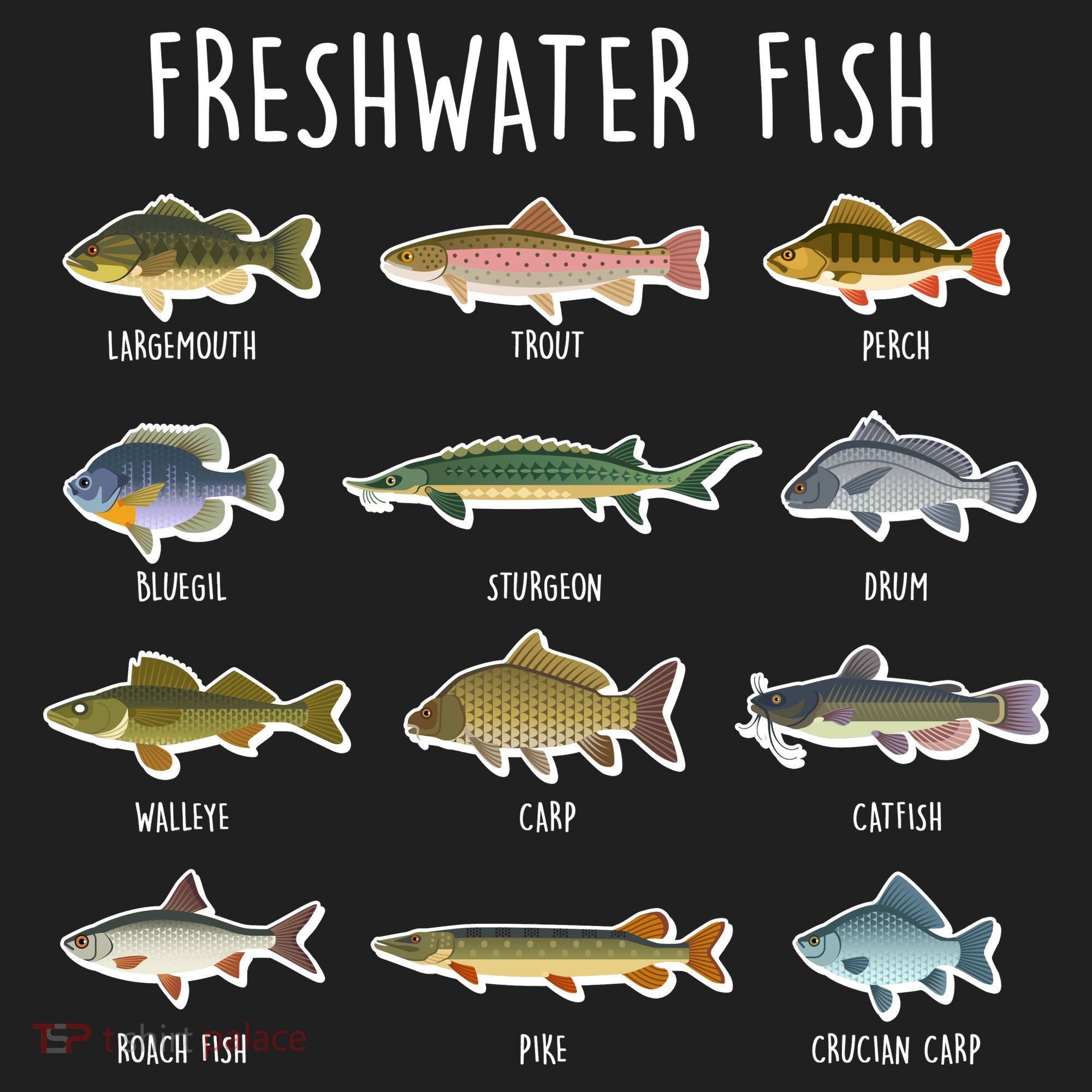 Freshwater Fish Tumbler