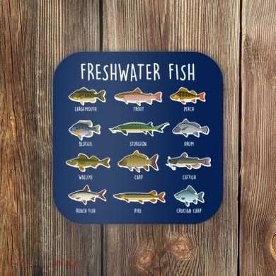 Freshwater Fish Coaster