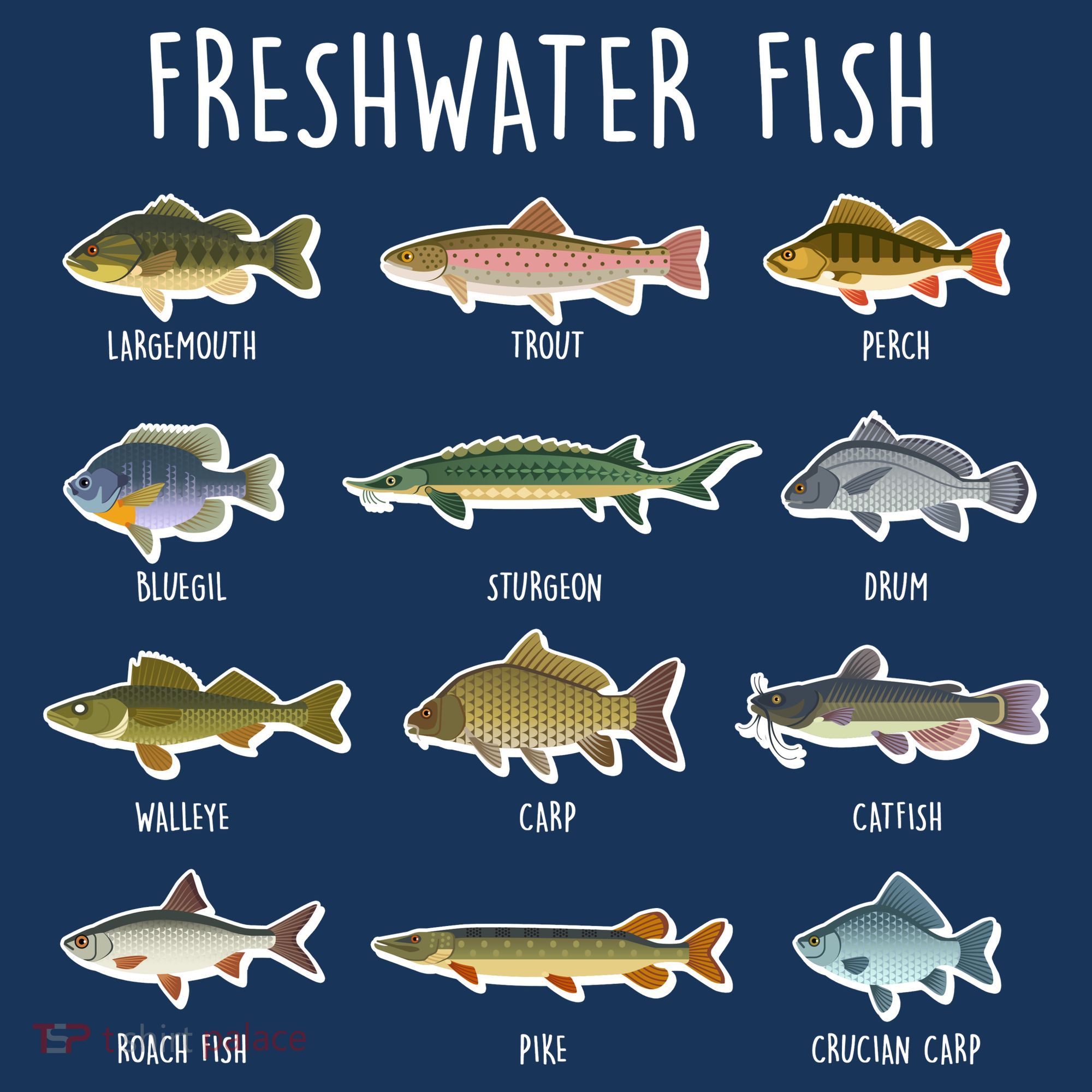 Freshwater Fish Kids Hoodie
