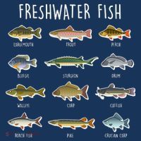 Freshwater Fish Kids Long Sleeve Shirt thumb 2