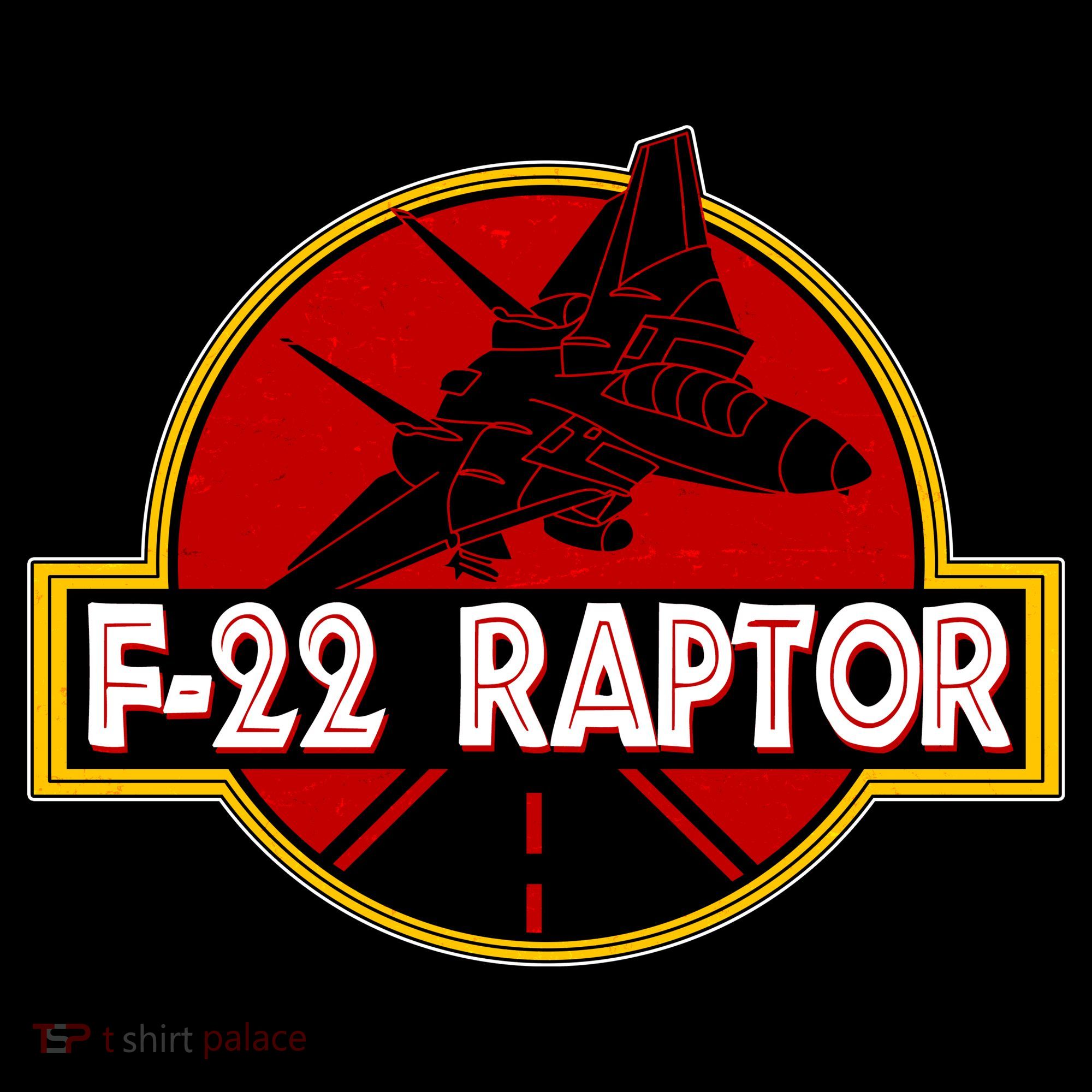 F22 Raptor Fighter Jet Women's Hoodie