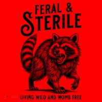 Feral Raccoon Funny Hysterectomy Recovery Present  Santa Hat thumb 1