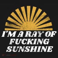 Funny Retro I'm A Ray Of Fucking Sunshine Gift Women's Hoodie thumb 2
